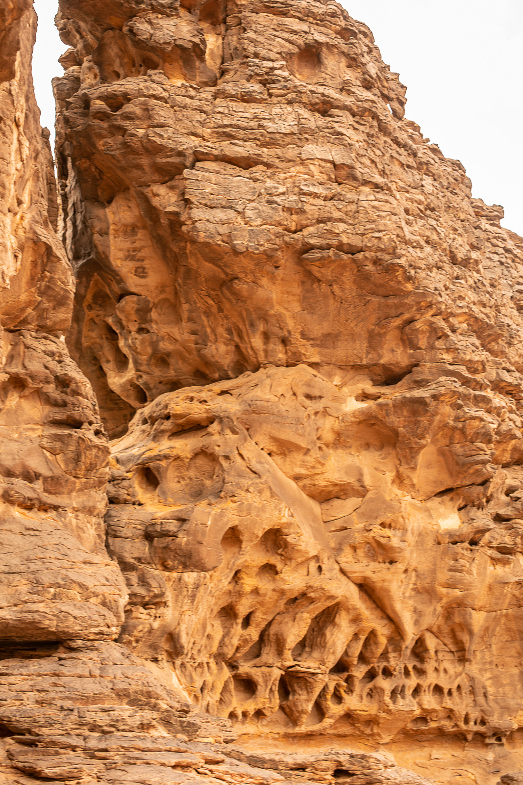 Human & Nature  outoftime 45